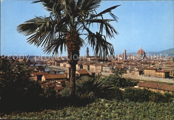 Firenze Florenz Panorama