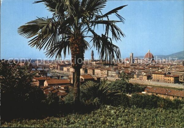 Firenze Florenz Panorama