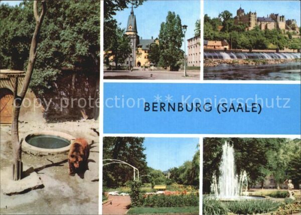 Bernburg Saale Bärenfreigehege am Schloss Kurhaus Schl