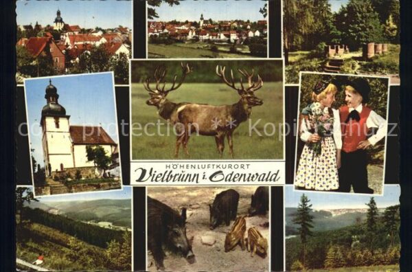 Vielbrunn Kirche Rotwild Wildschweine Trachtenkin