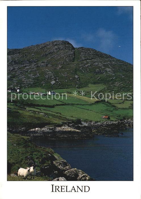 Irland On the Beara Peninsula