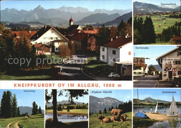 Bad Oy Dorfstrasse Grüntensee Alpvieh Moorweg