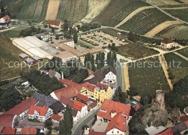 Bingen Rhein Fliegeraufnahme Burg Layen