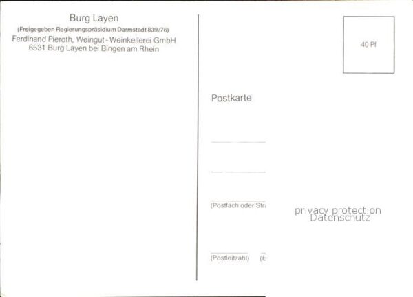 Bingen Rhein Fliegeraufnahme Burg Layen – Bild 2
