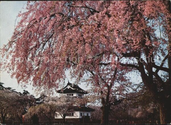 Honshu Hirosaki Castle