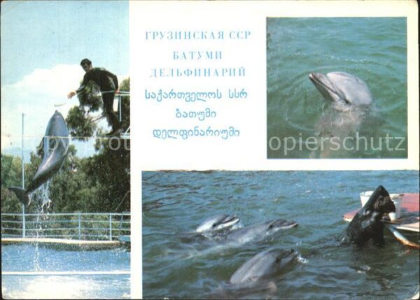 Batumi Delfinarium