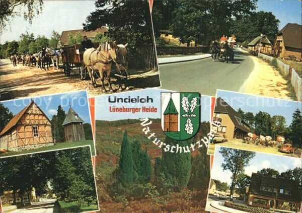 Undeloh Pferd Gebäude