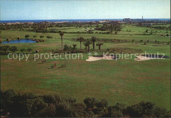 Maspalomas Campo de Golf