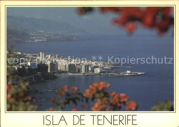 Puerto de la Cruz