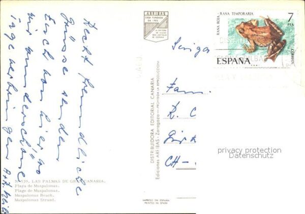 Las Palmas Gran Canaria Maspalomas Strand – Bild 2