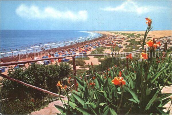 Playa del Ingles