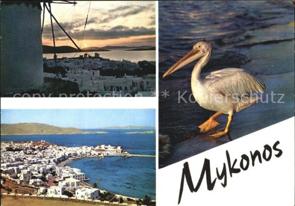 Mykonos Kykladeninsel Aegaeis Pelikan