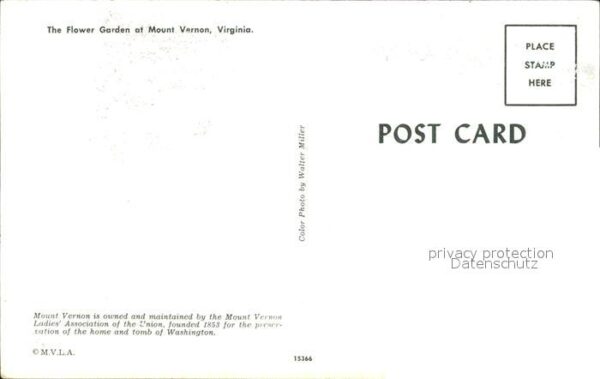 Mount Vernon Virginia Blumengarten – Bild 2