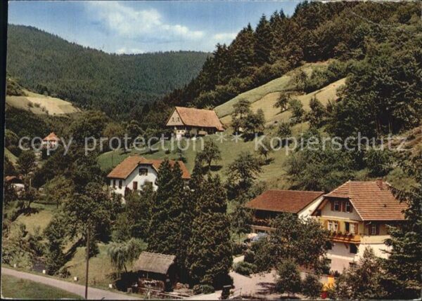 Oberharmersbach Löcherberg Haus Schwarzwald Idyll