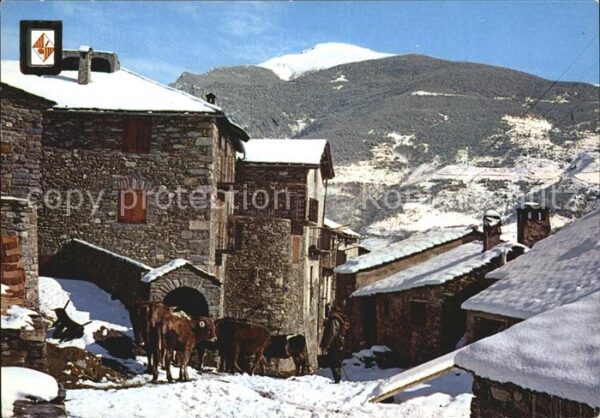 Lerida Pirineo Catalan Panorama Winter