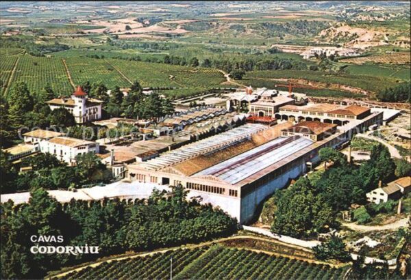 Cavas Codorniu Luftaufnahme