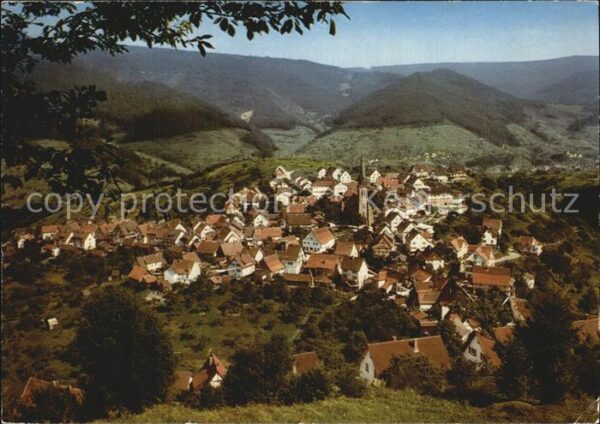 Forbach Baden Bermersbach Panorama