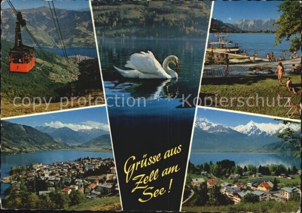 Zell See Seilbahn Strand Panoramen Schwan