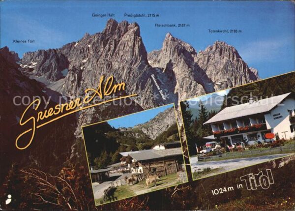 Wilder Kaiser Griesner Alm Pension Dornauer
