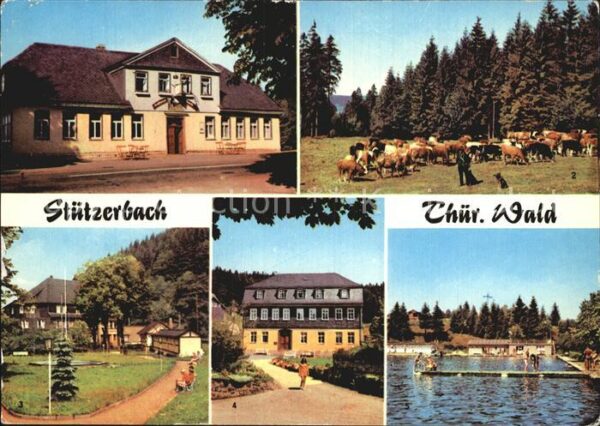 Stuetzerbach Gasthaus Auerhahn Kuhherde Kurpark Goet