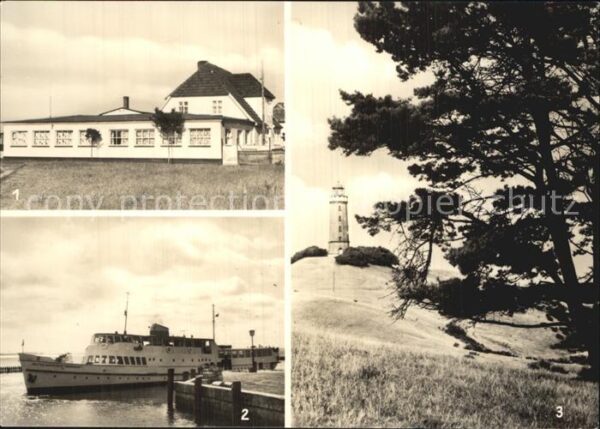 Insel Hiddensee Stranddistel Fahrgastschiff DSF Leuchtt