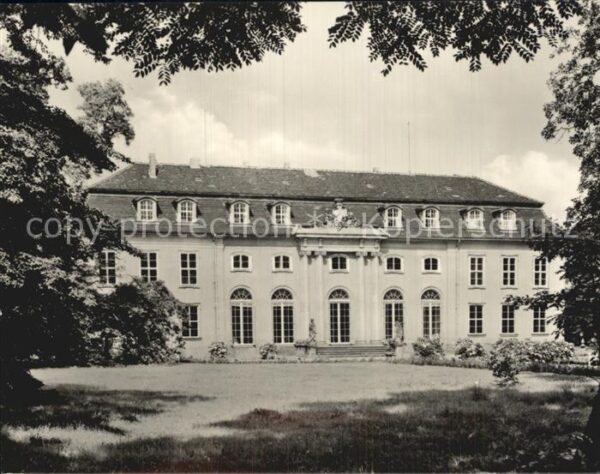 Mosigkau Schloss Mosigkau Staatl Museum