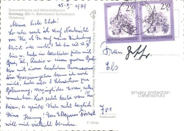Goldegg Panorama – Bild 2