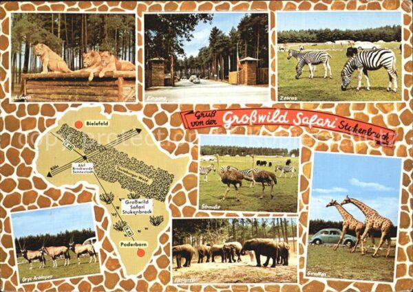 Stukenbrock Grosswild Safari Löwen Zebras Antilopen