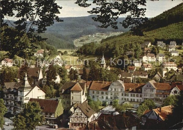 Bad Herrenalb Therma Teilansicht