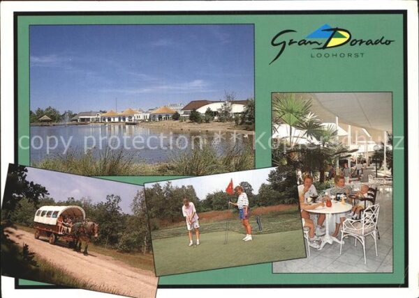 Playa de las Americas Gran Dorado Loohorst Pferdewagen Golf T