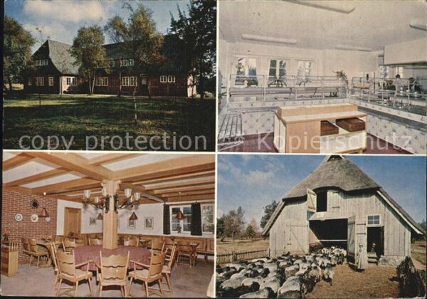 Schneverdingen Pension Gasthof Schäferhof Gastraum The