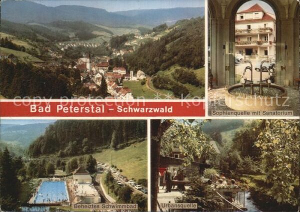 Bad Peterstal-Griesbach Panorama Sophienquelle mit Sanatorium S