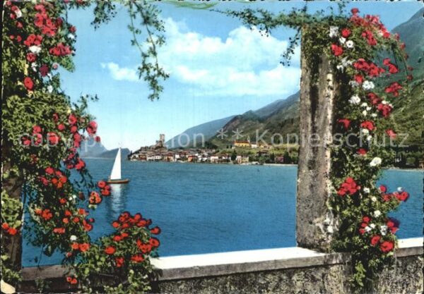 Malcesine Lago di Garda Panorama