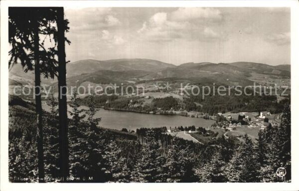 Titisee Schwarzwald Panorama