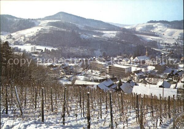Sasbachwalden Panorama