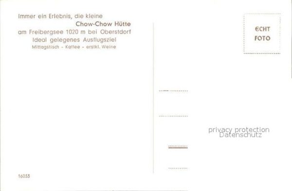 Hunde Chow-Chow Zwinger Hendricksdorf Oberstd – Bild 2