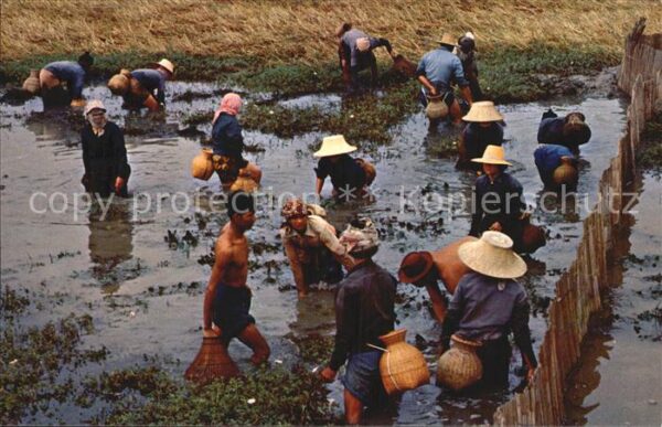 Fischerei Leisure-Time Thai Farmers Flooded-Farms