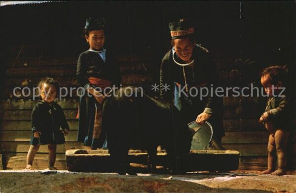Typen Thailand Old Meo Hill-Tribe Woman feedi