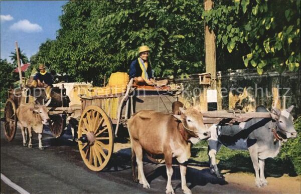 Typen North Thailand Carts drawn by Buffalos
