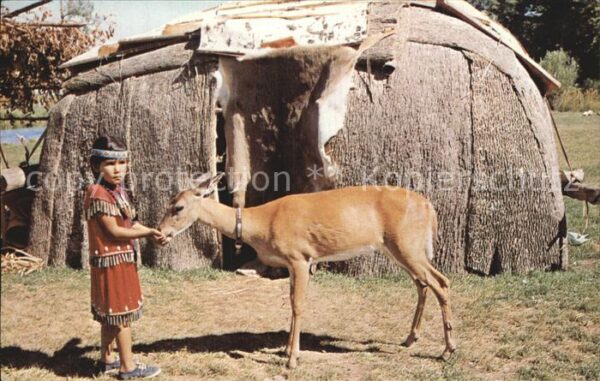 Indianer Native American Chippewa Child feeding deer Wash-Gech F