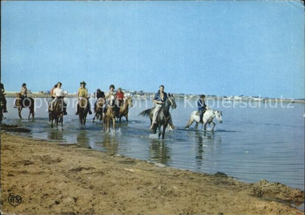 Pferde Promenade a Cheval en Bord de Mer