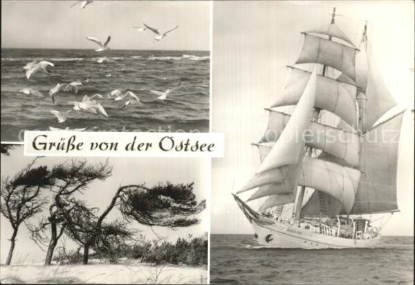 Segelschiffe Wilhelm Pieck Möwen Ostsee