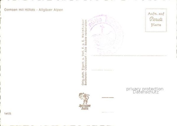 Gemse Höfats Allgäuer Alpen – Bild 2