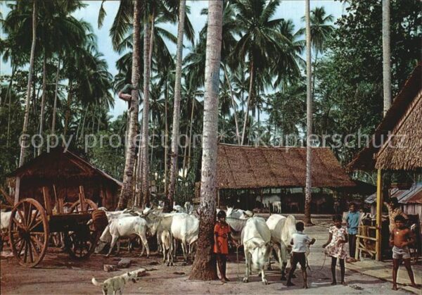 Kuehe Kampung Malaysia