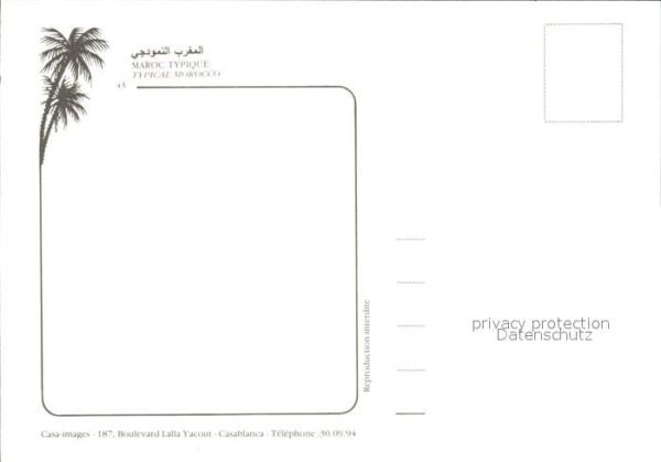 Kamel  Camel Chameau Maroc Marokko – Bild 2