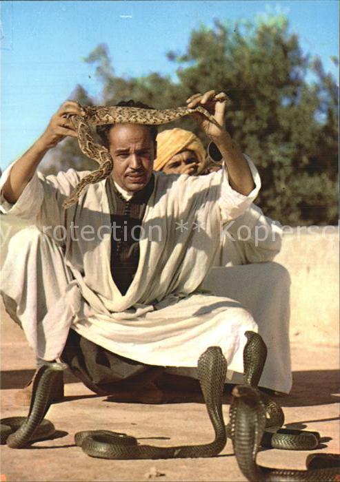 Schlangen Tiere Maroc Marrakech Charmeur de Serpents Sc