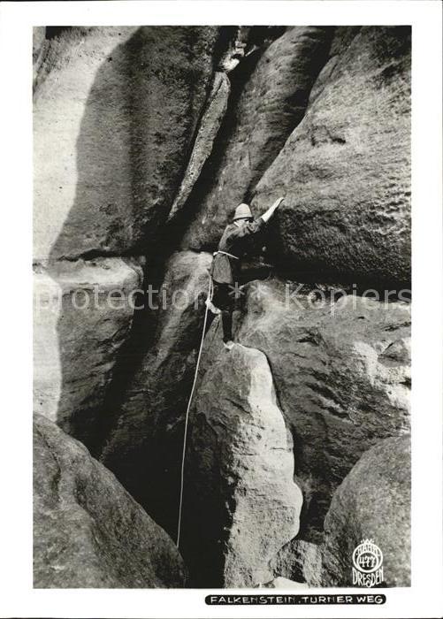 Foto Hahn Nr. 477 Falkenstein Turner Weg P. Illmer