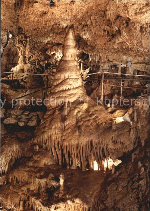 Hoehlen Caves Grottes Teufelshöhle Baum im Riesensaal