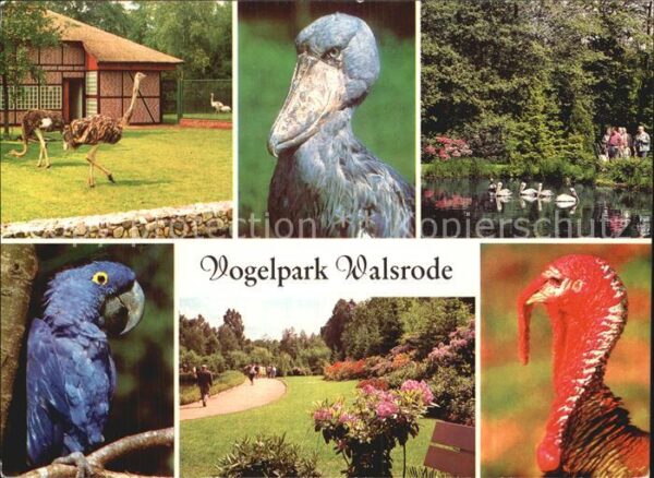 Voegel Vogelpark Walsrode