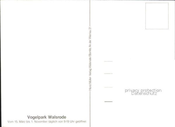 Voegel Vogelpark Walsrode – Bild 2